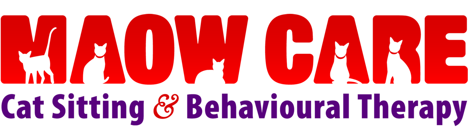 Maow Care - Cat Sitting | Behavioural Therapy | Service by cat people for cat people