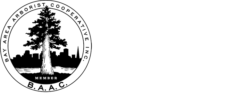                  BAY AREA ARBORIST COOPERATIVE