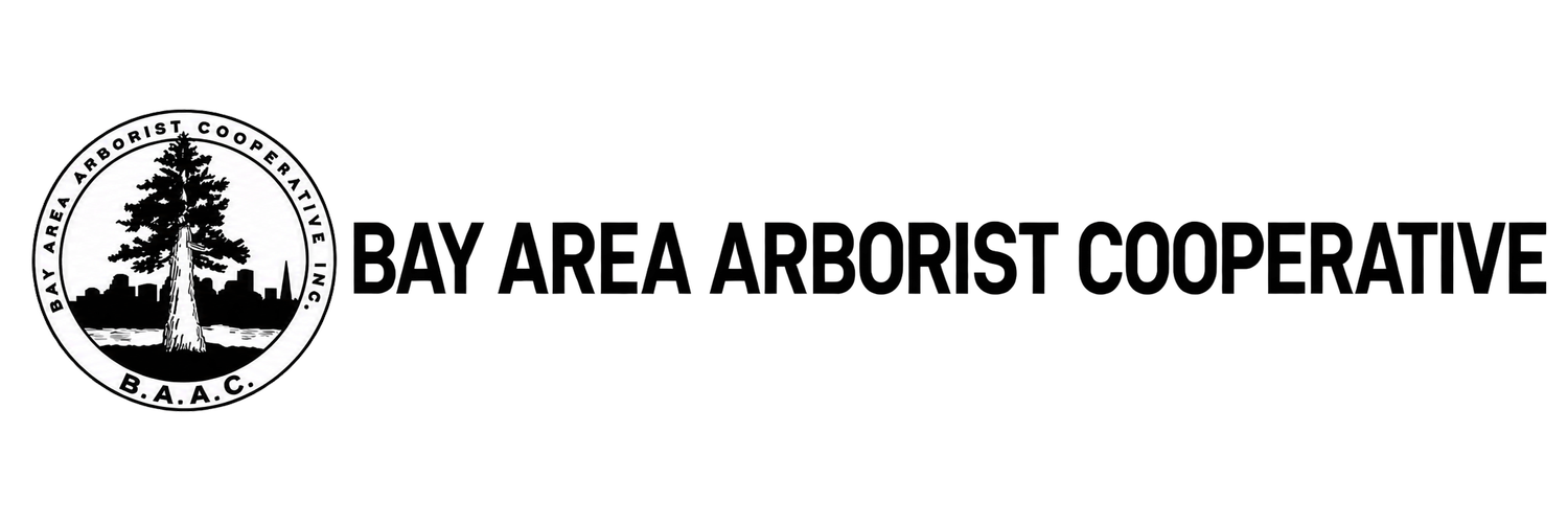 BAY AREA ARBORIST COOPERATIVE