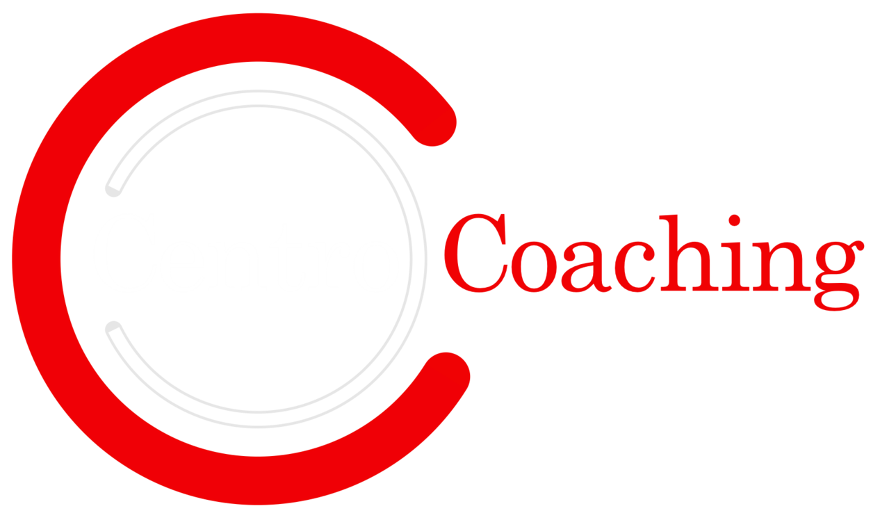 Centro Coaching | Executive Coaching London | Organisational Development Consultancy | Team Building London 