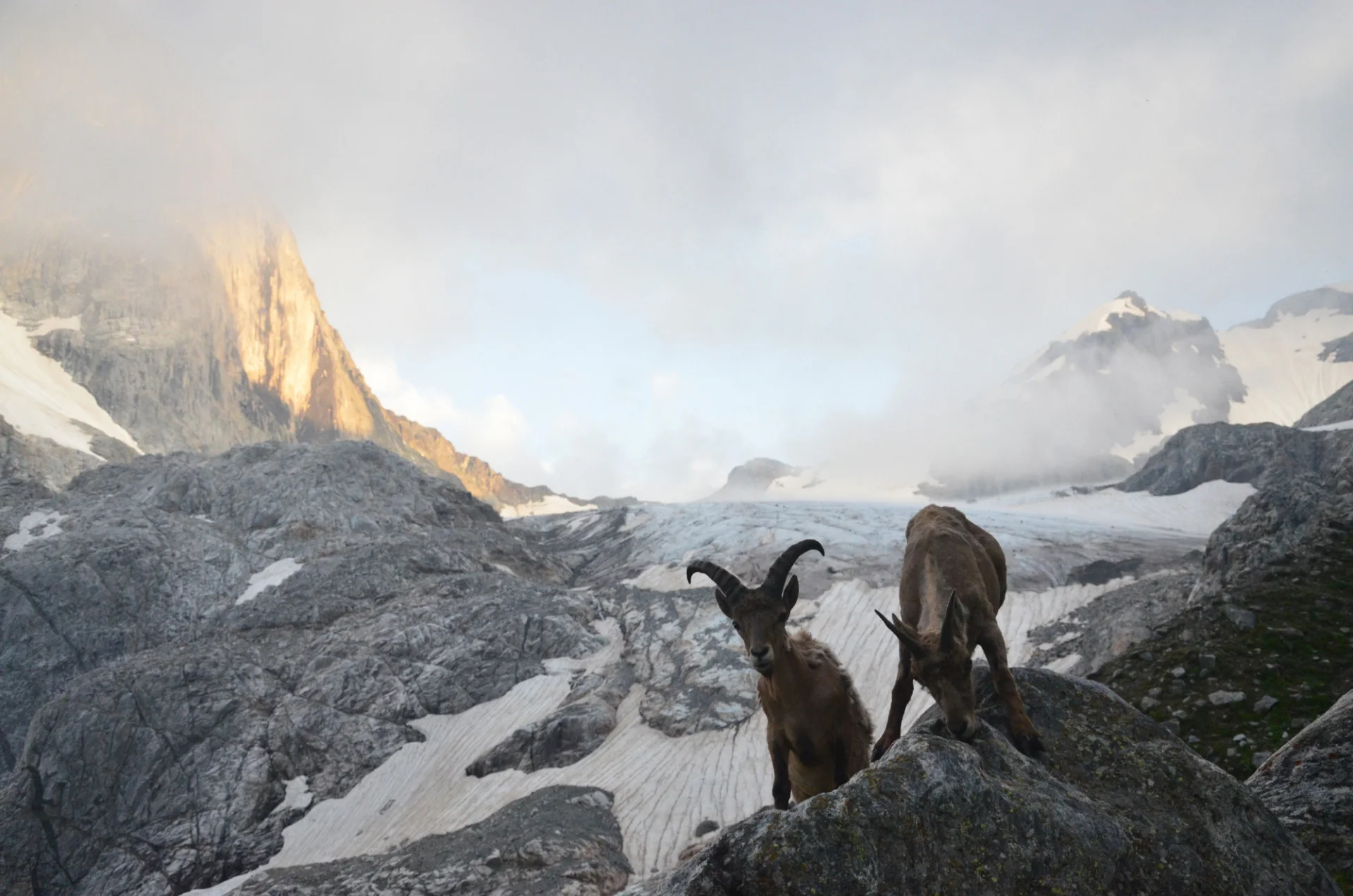 Фотовыставка National Geographic