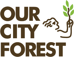 Our City Forest 