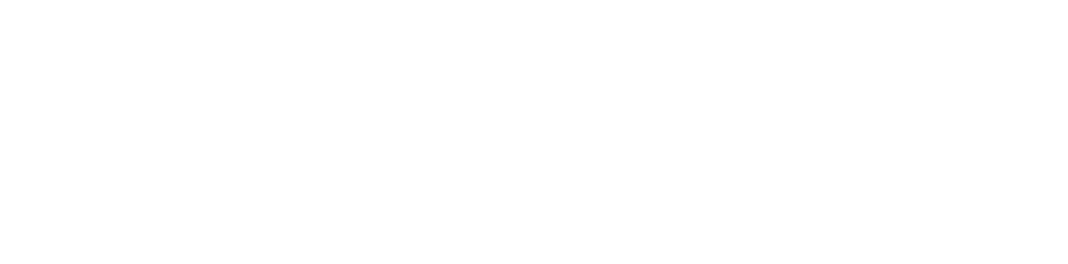 Hotel Rapids