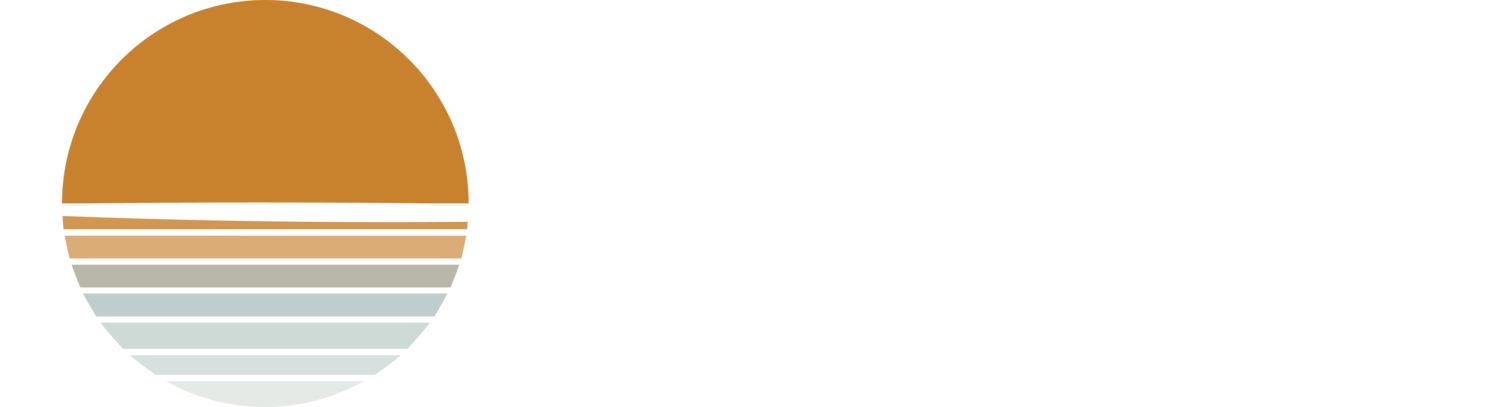 Satyagraha Institute