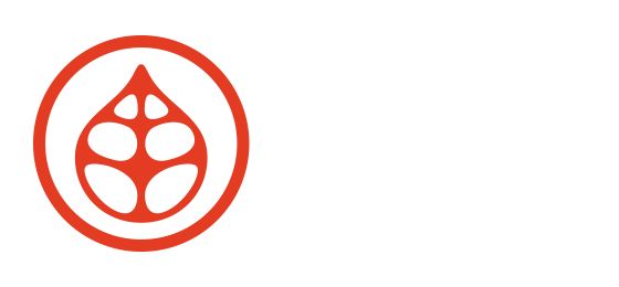 Katydid Consulting