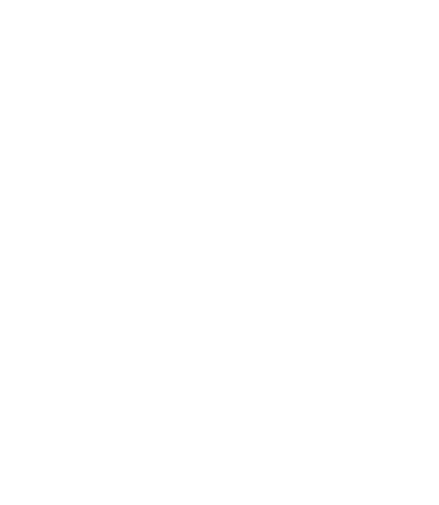 MUSEUM OF LIGHT