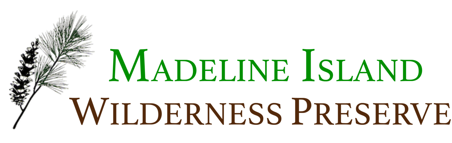 Madeline Island Wilderness Preserve