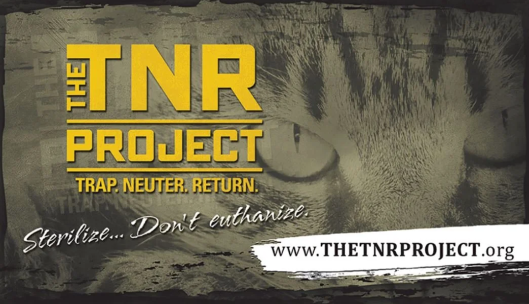 The TNR Project