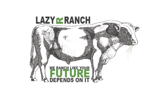 Lazy R Ranch