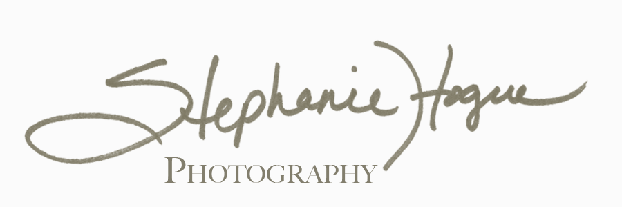 Stephanie Hogue Photographs
