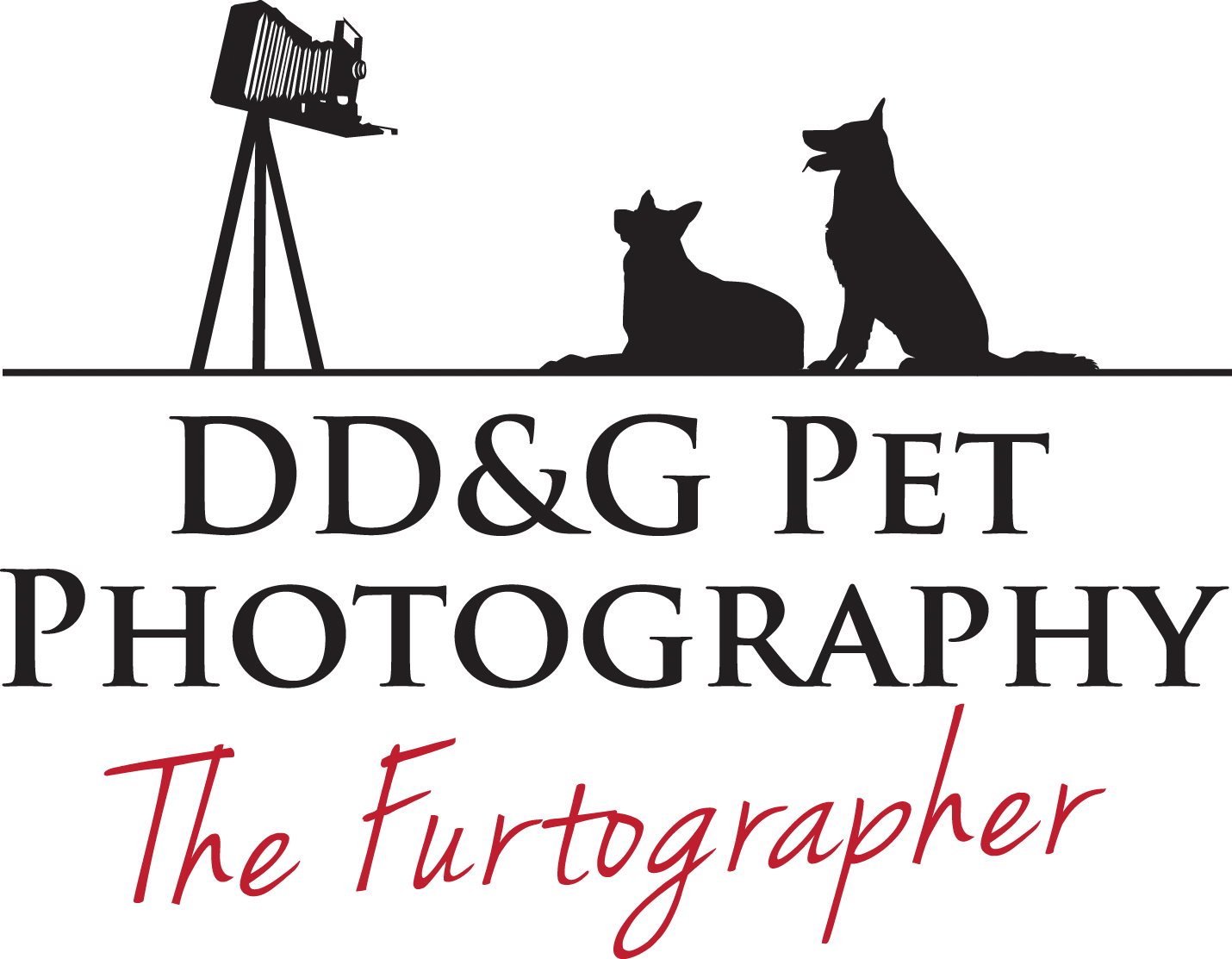 DD&G Pet Photography