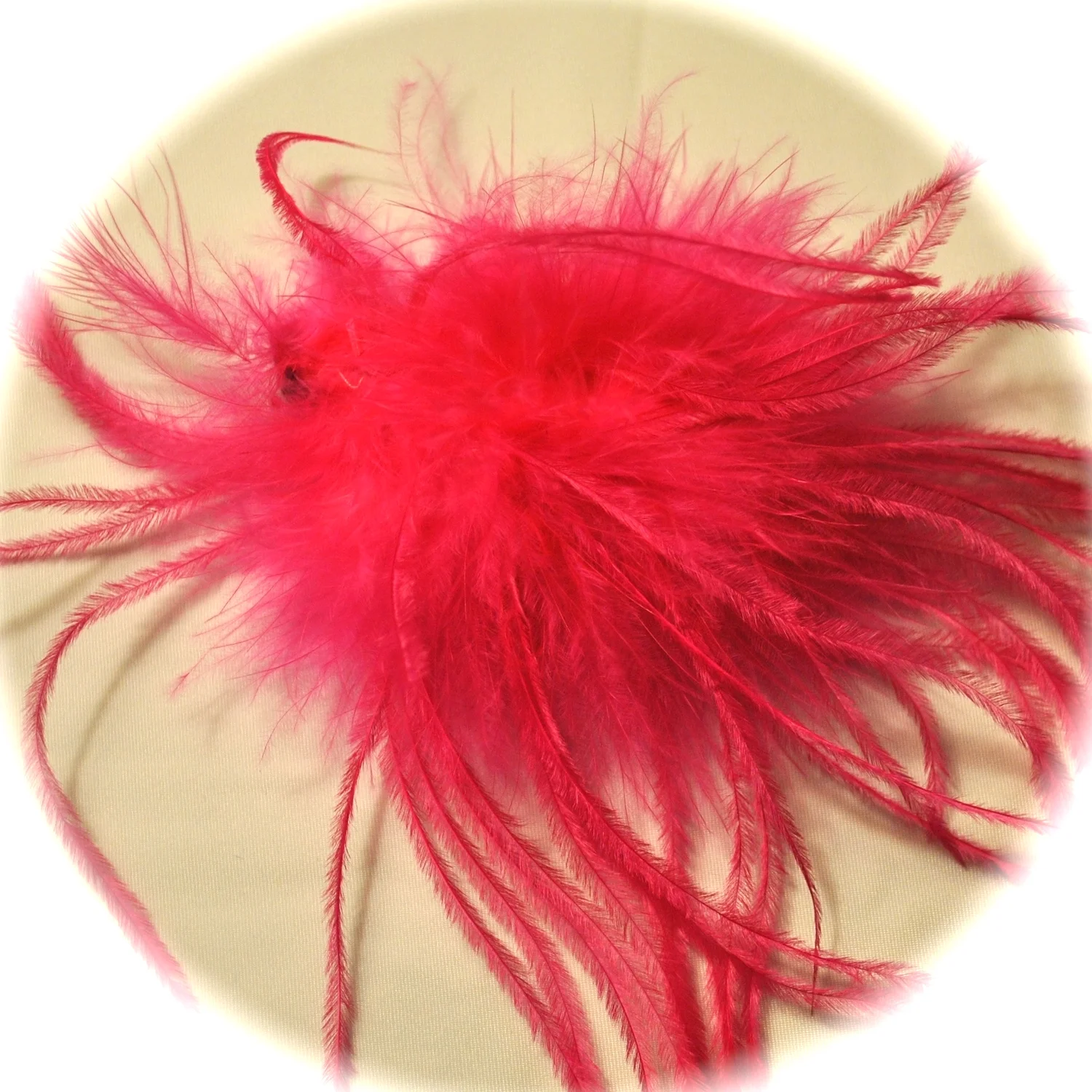 fuchsia ostrich feathers