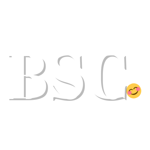 BSC - Barnes|Strategies|Consulting