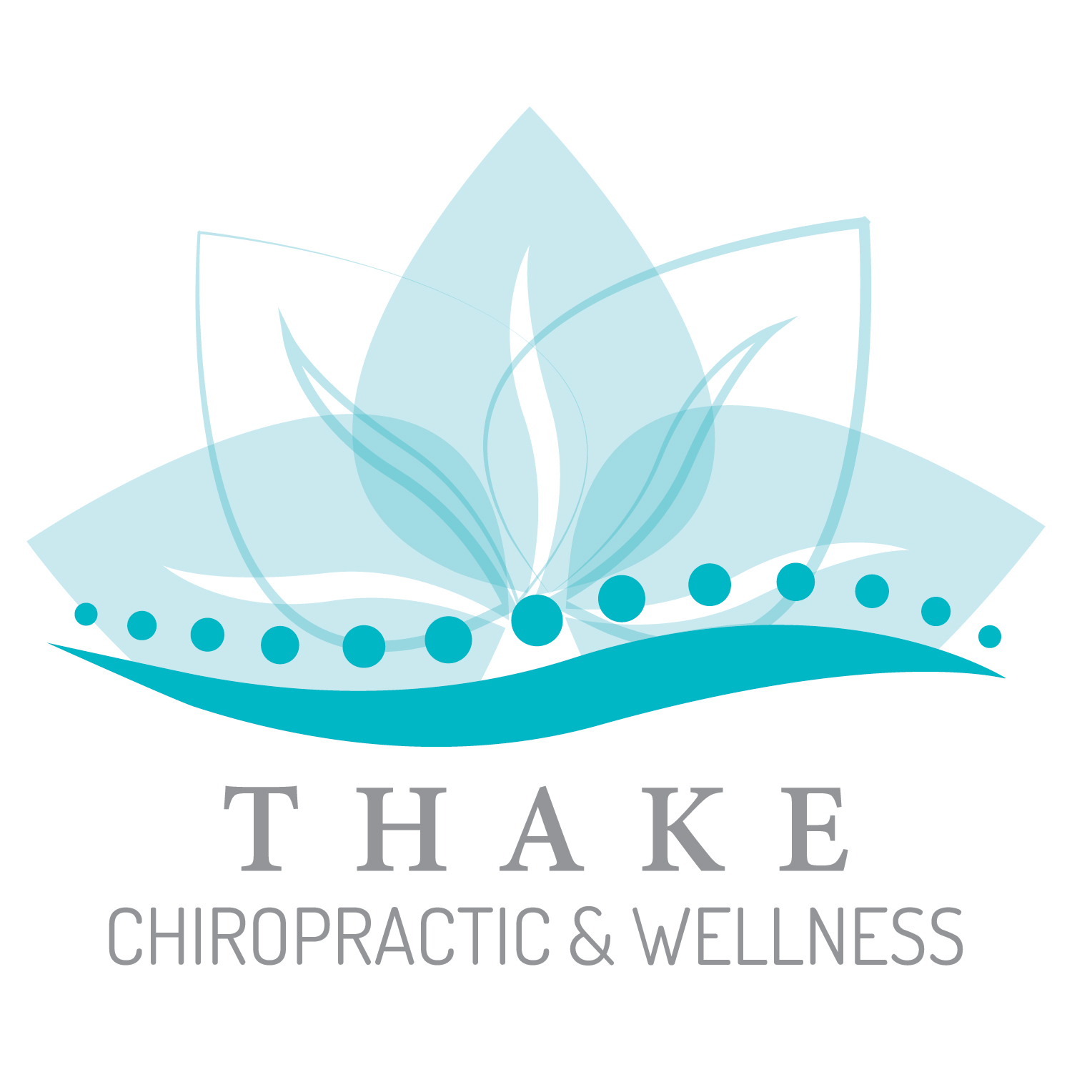 Thake Chiropractic and Wellness, LLC