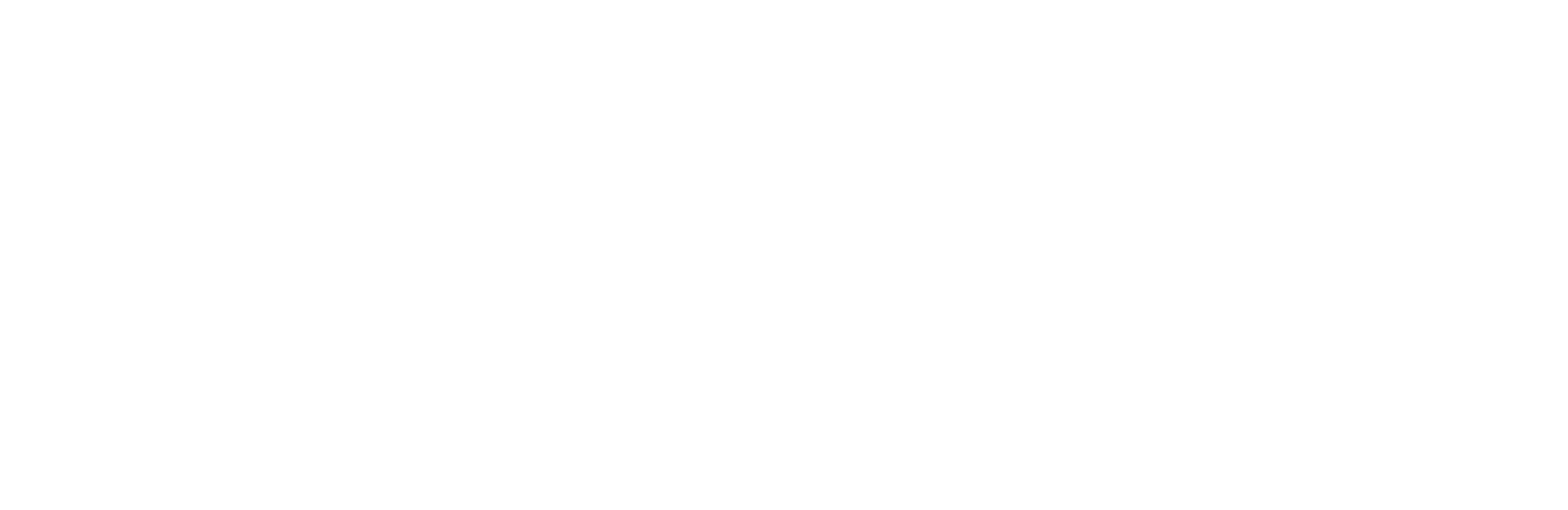 White Lighthouse Investment Management