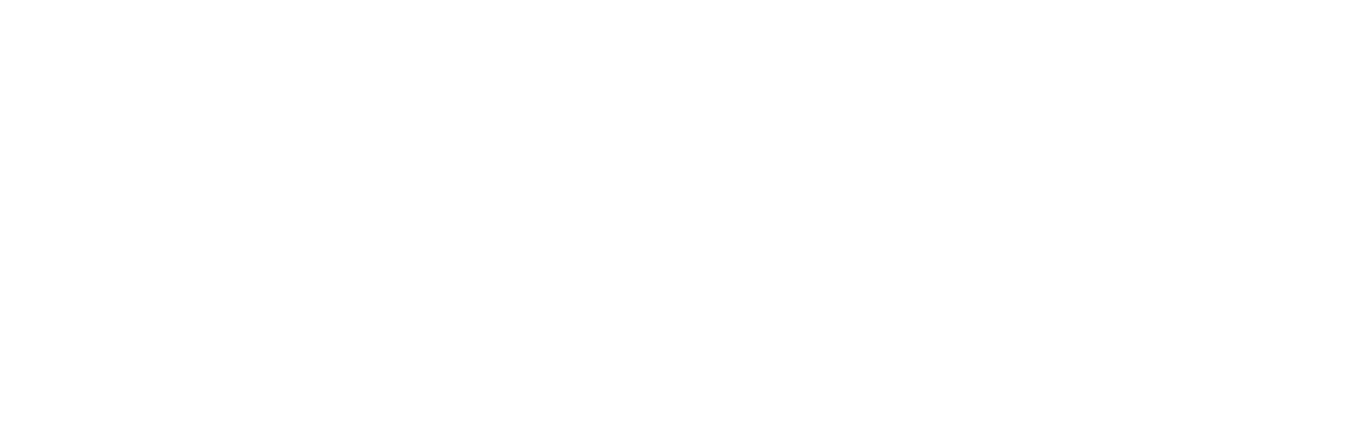 THE FLINT DEVELOPMENT CENTER