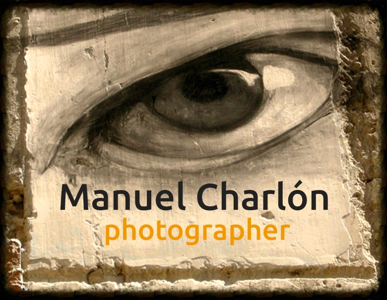 Manuel Charlón