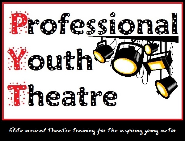 Professional Youth Theatre