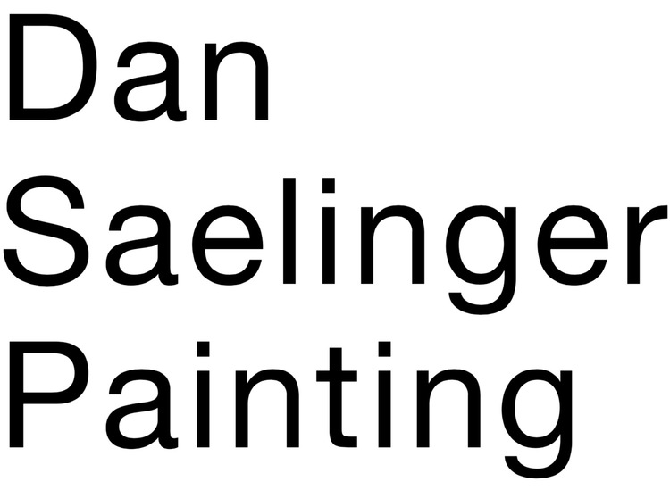 Dan Saelinger Painting