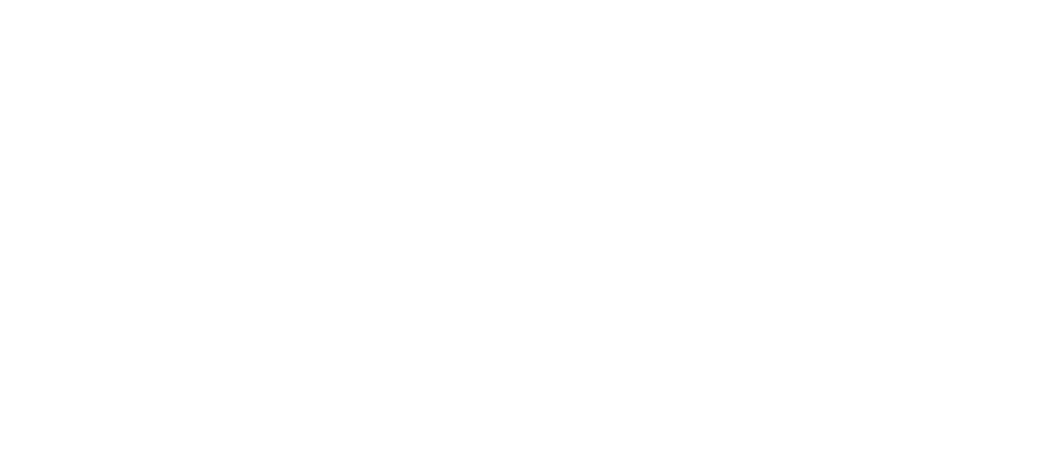 Young & Lazzarini