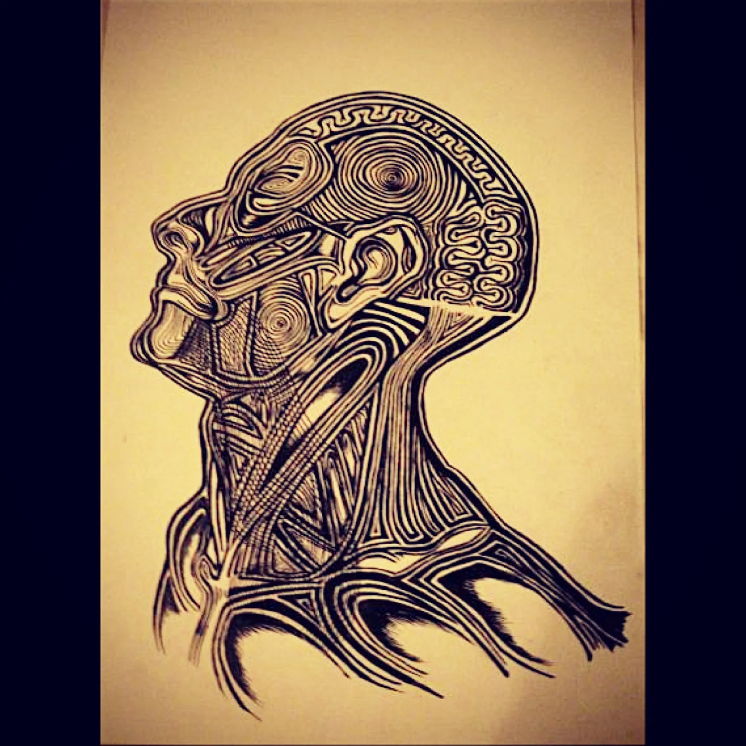 Sarah Cusack Illustraion- Studio