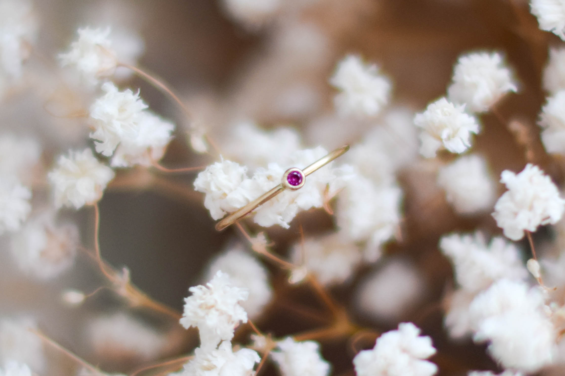 dsc_1336-4.jpg.