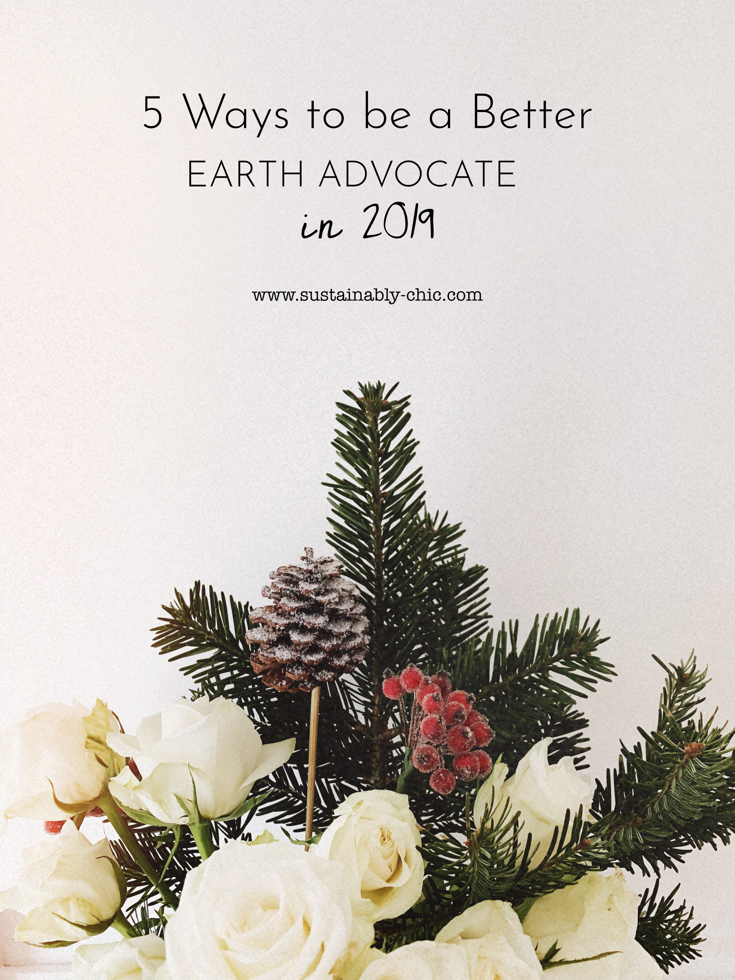 5waystobeabetterearthadvocate.jpg