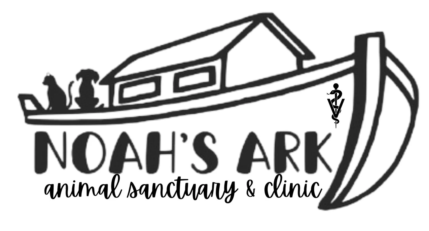 noah's ark