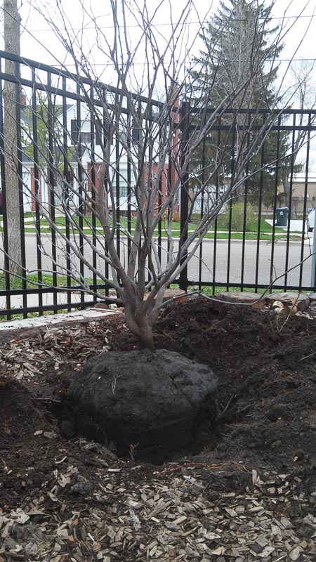 2015-04-25 15.37.25.jpg