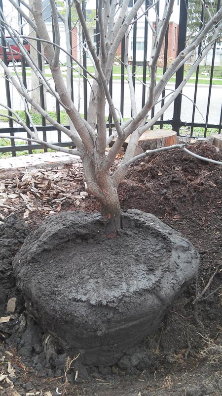 2015-04-25 15.39.12.jpg