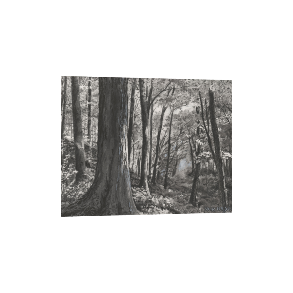 Healthy Forest, Nick Neddo Wild Arts Workshop, Gallery