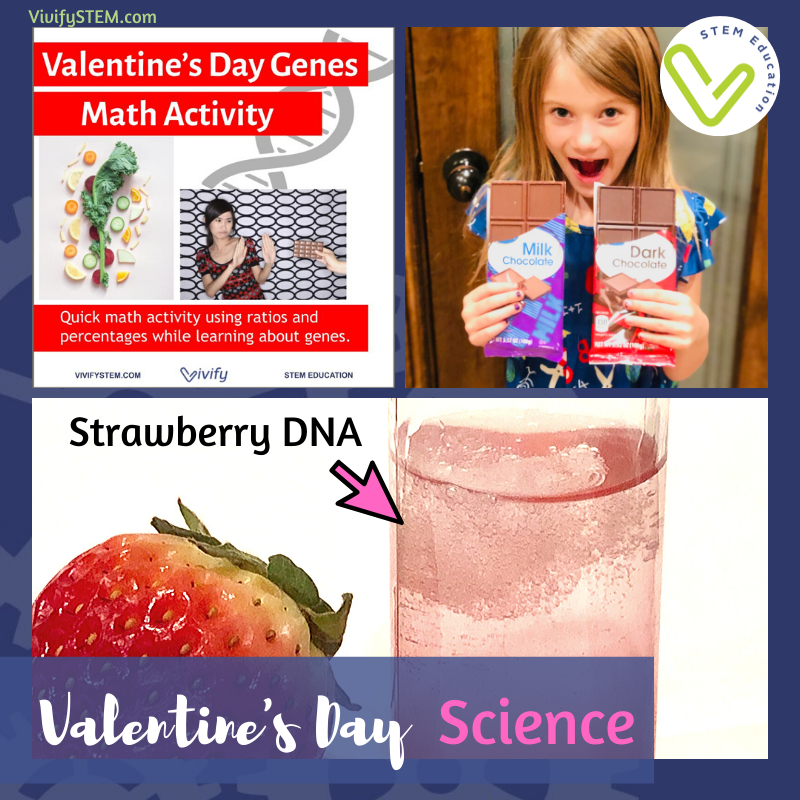 活化STEM以情人节为主题的科学活动