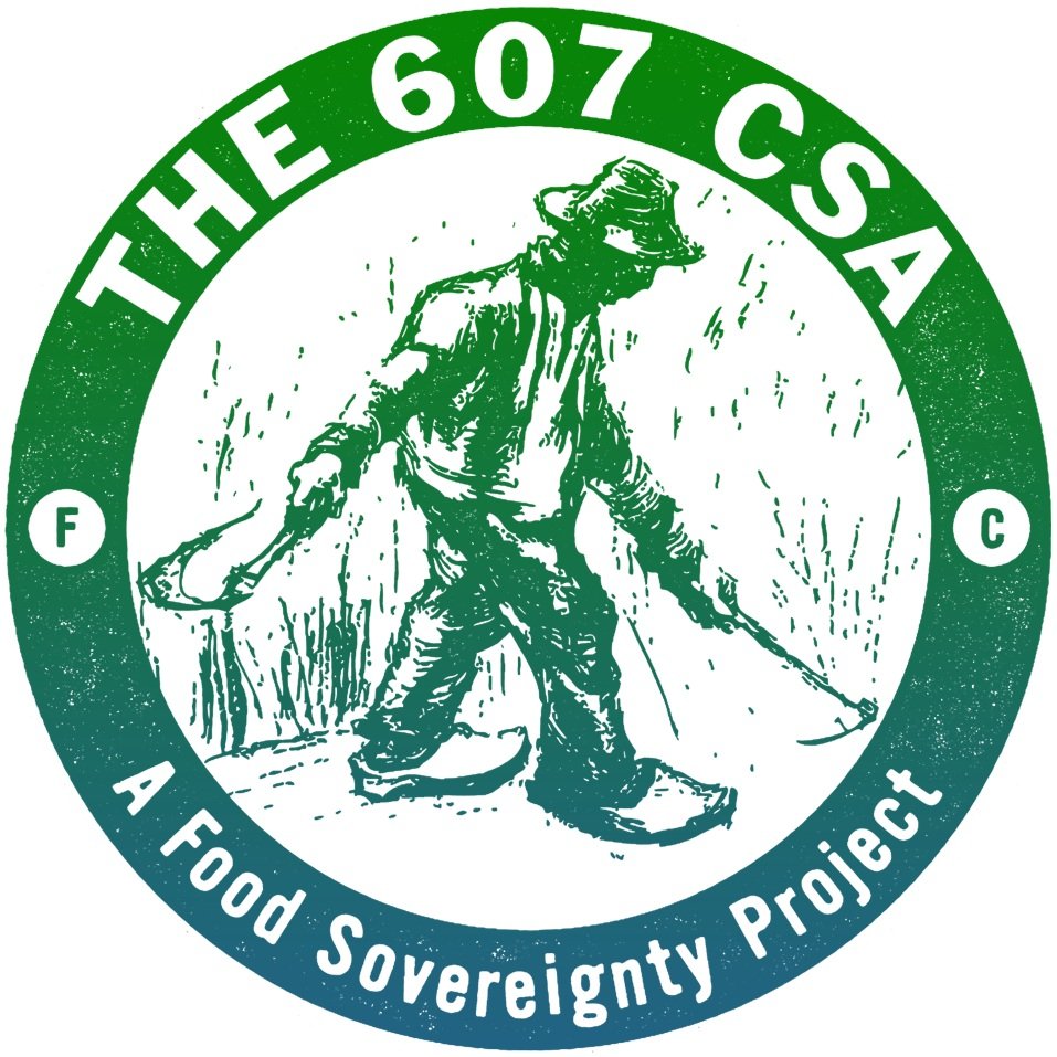 The 607 CSA