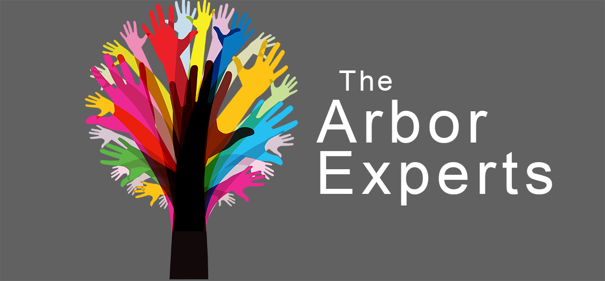 The Arbor Experts
