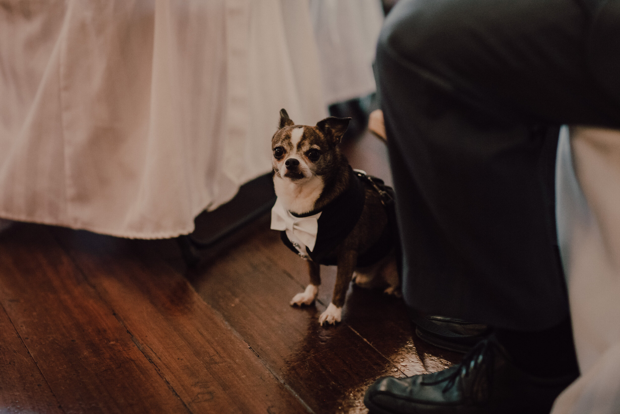 狗友Elopement.jpg