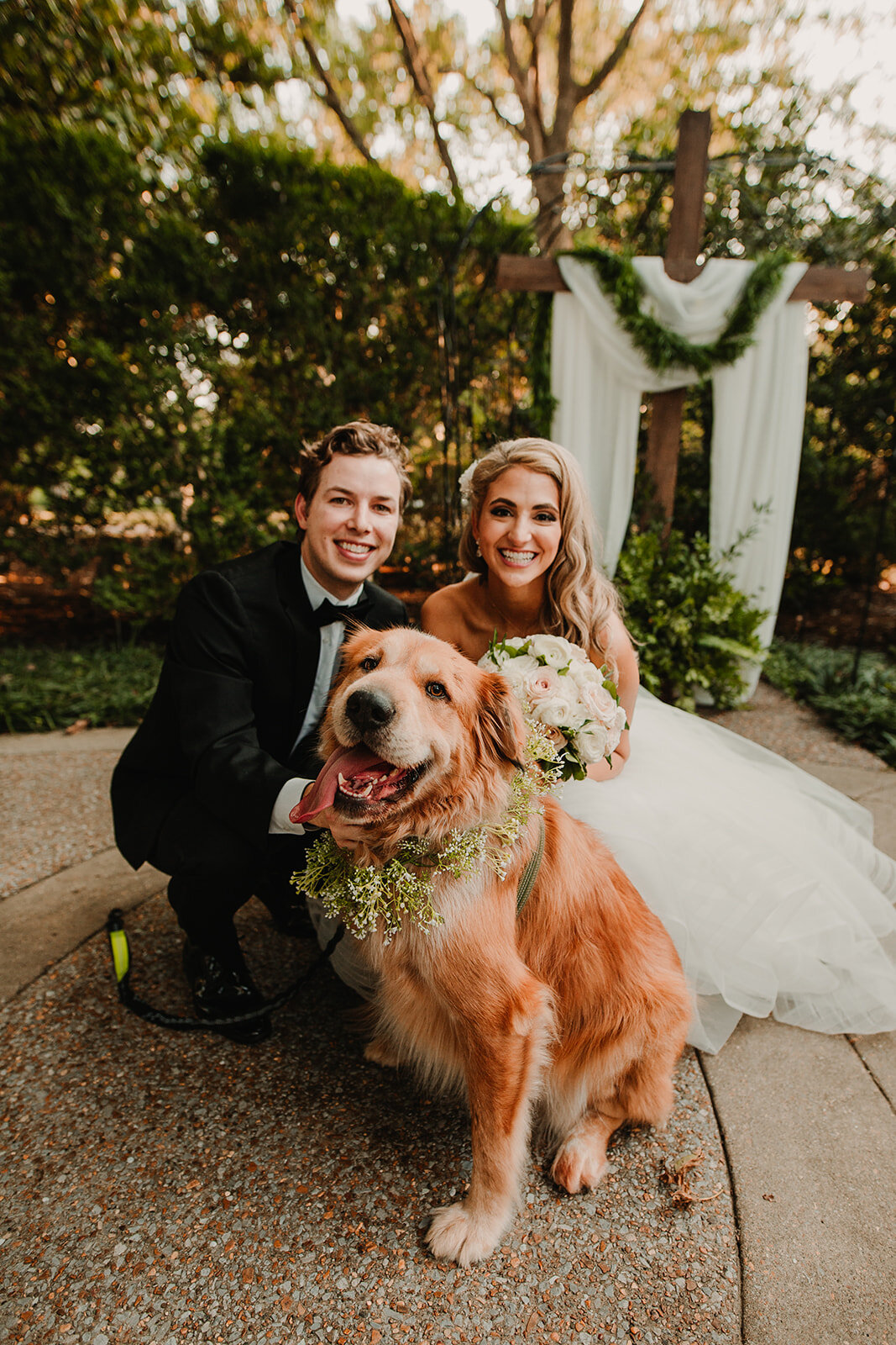 纳什维尔婚礼Dogs.jpg