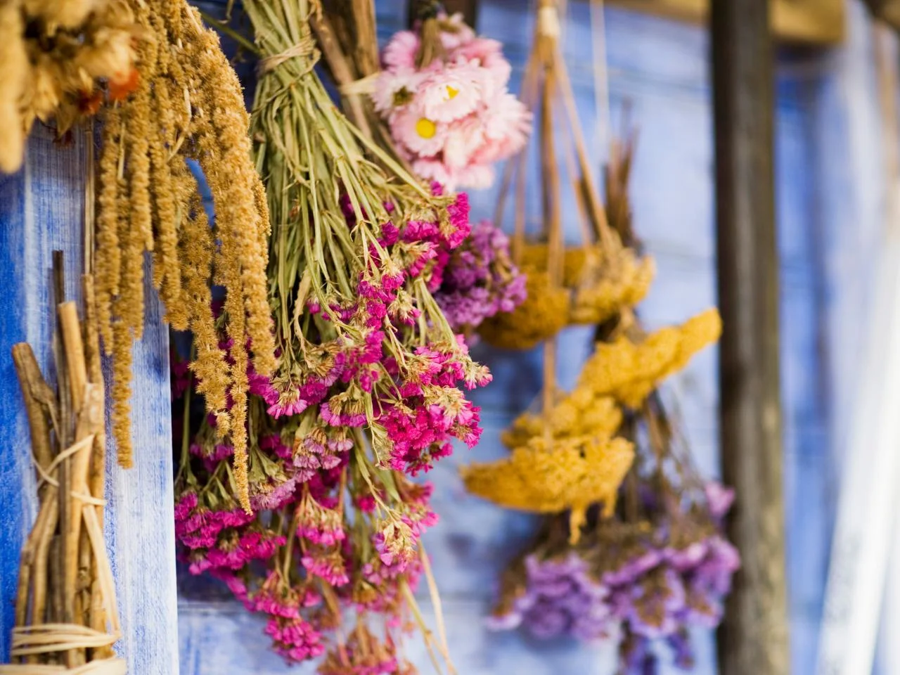 Dried Flowers сухоцветы