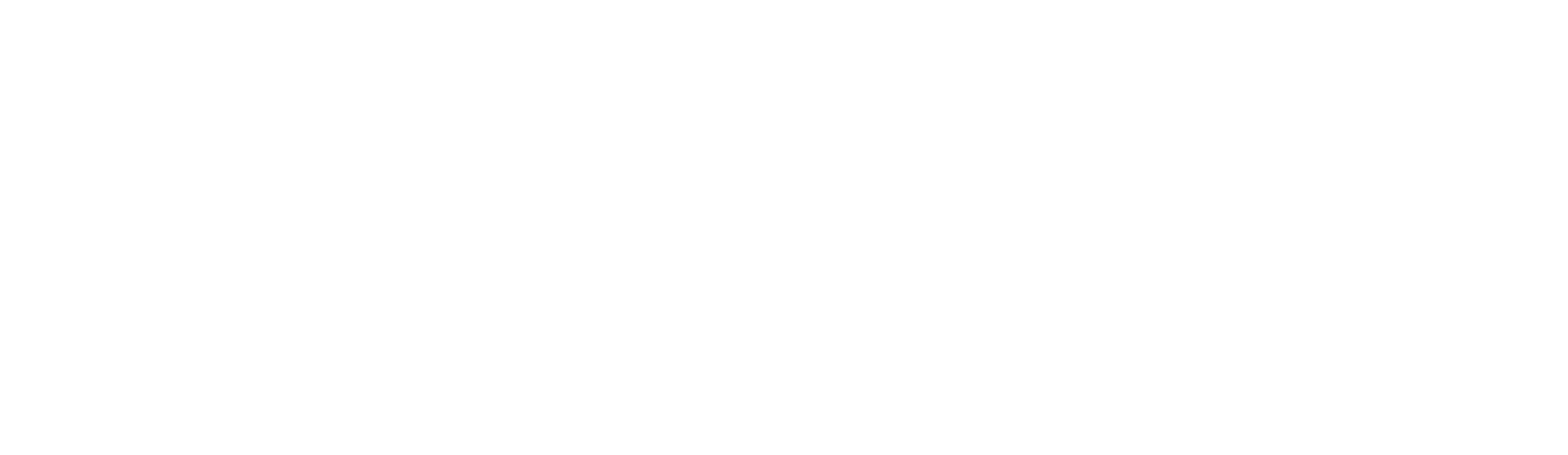 The Art of Sara Diesel
