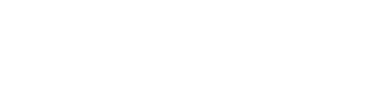 The Art of Sara Diesel