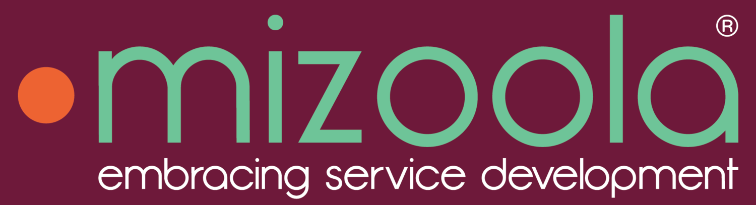 mizoola ltd