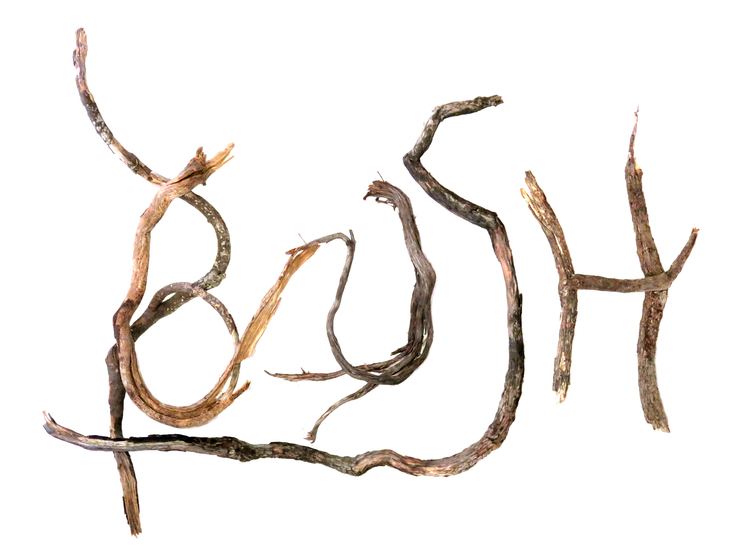 FOOD — BUSH