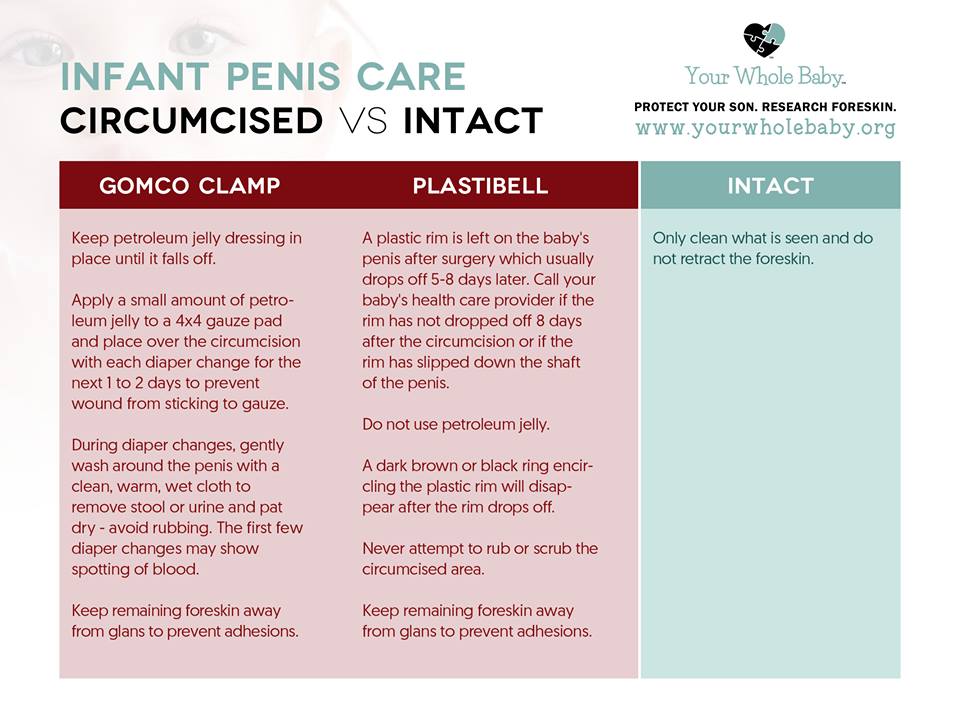The Mayo Clinic S Benefits Of Circumcision An Analysis Your Whole Baby