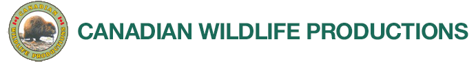 Canadian Wildlife Productions