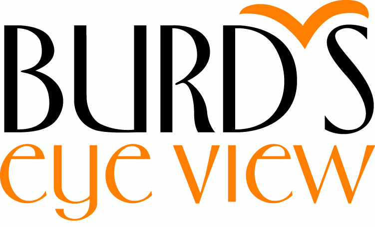 Burd's Eye View