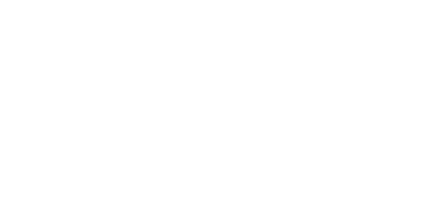 avius capital