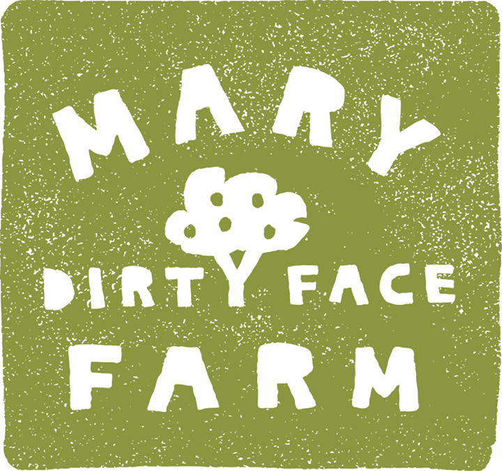 Mary Dirty Face Farm