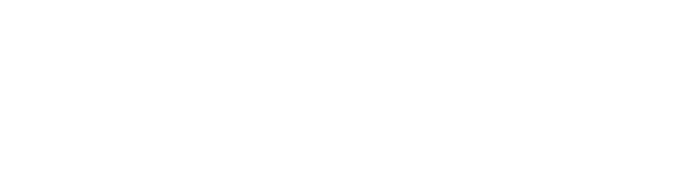 Pivot Consulting