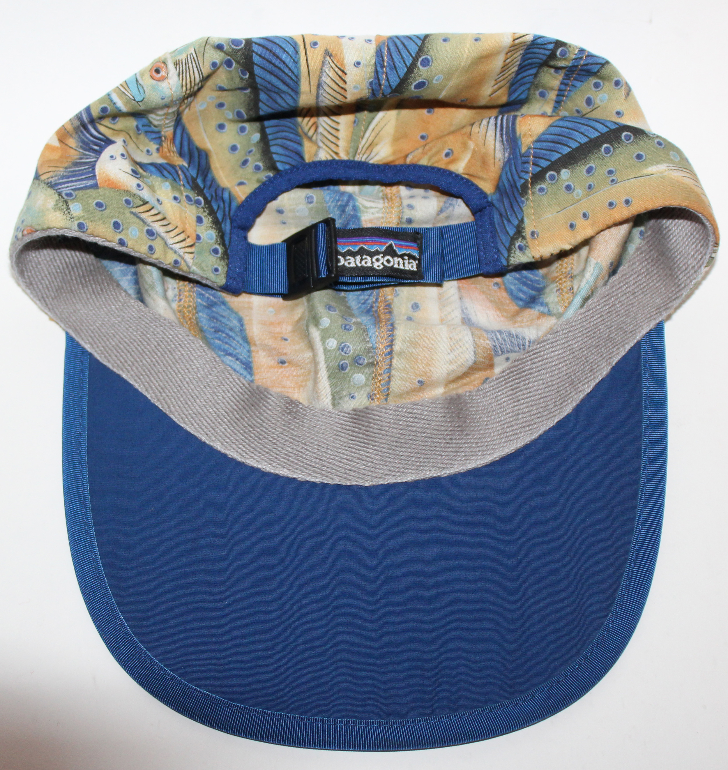 vintage patagonia hat