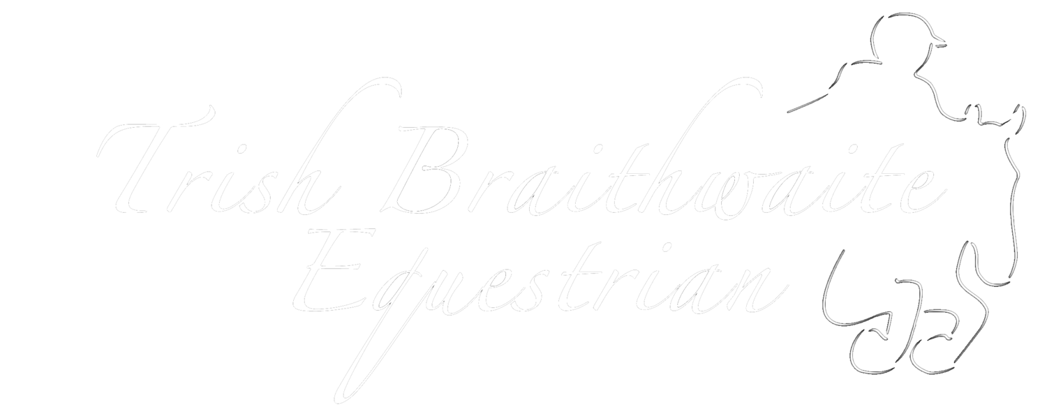 Trish Braithwaite Equestrian