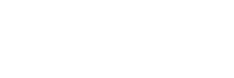 PolyTech Consulting, Inc.